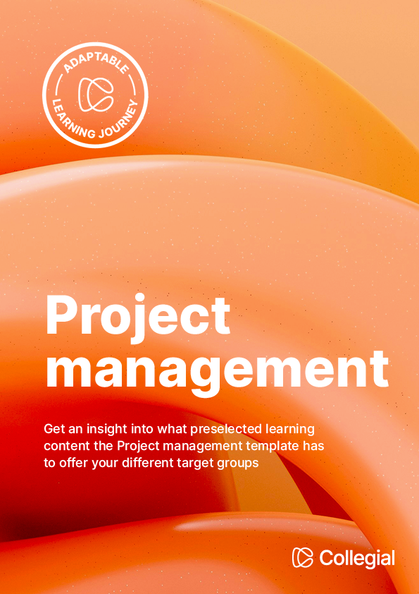 Brochure-SLI-Project management