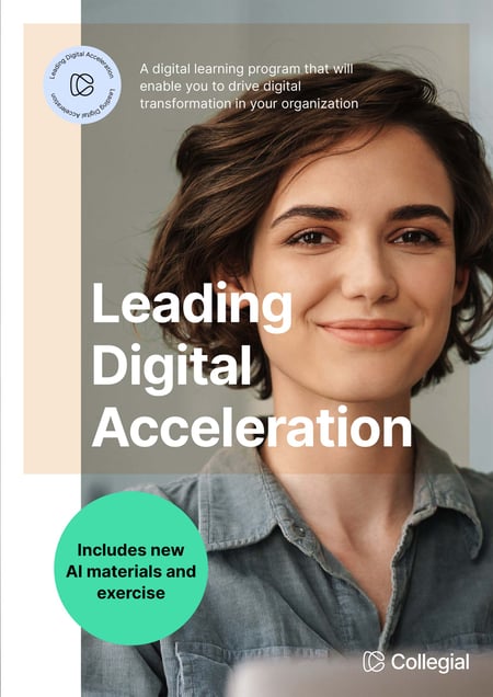 Collegial_Brochure_LDA_poster