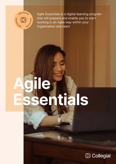 Collegial_brochure_agile_poster
