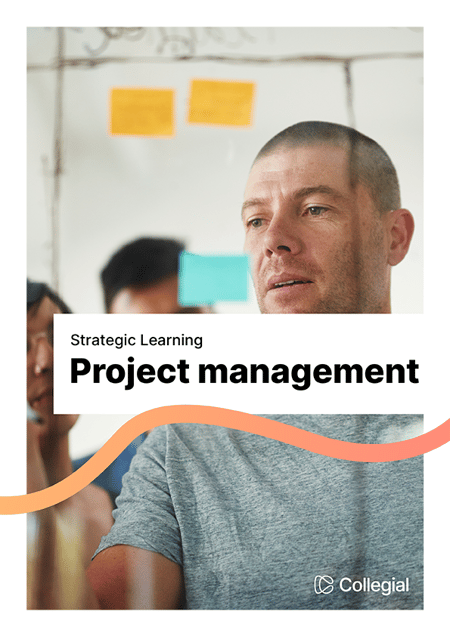 Poster-SLI-Project management-small