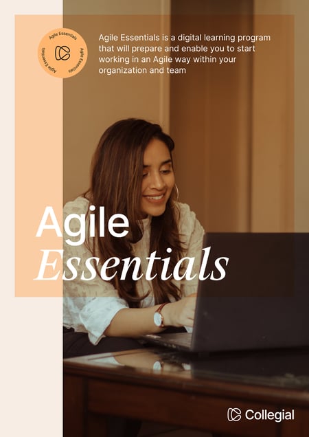 Poster of Agile essentials program 