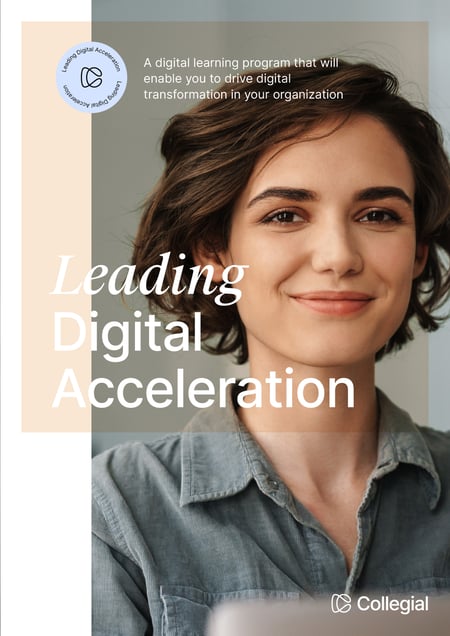Poster of leading digital acceleration program 