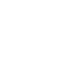 skf