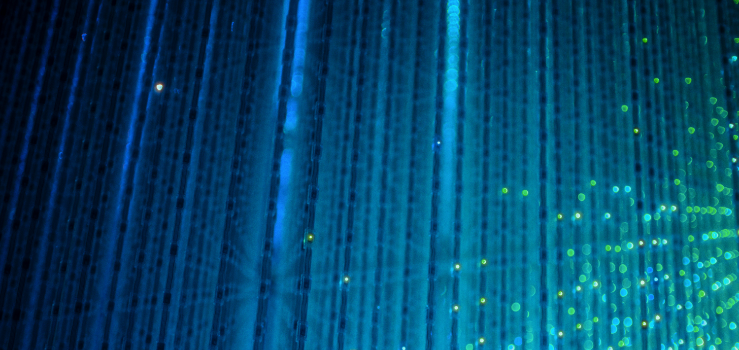 The rise of the Agentic Enterprise